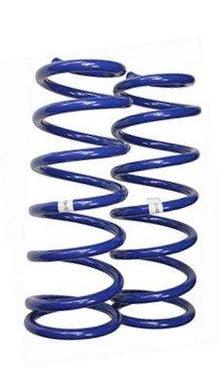 COIL SPRING PAIR COLORADO 4/2013-6/2016