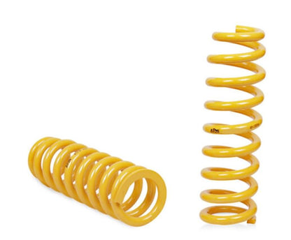 Coil Springs - Front - Heavy Duty - Toyota Landcruiser FJ80, HDJ80, HZJ80 Statio