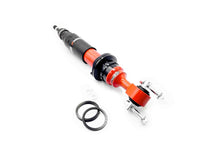 Outback Armour Ford Everest UB (03/2022+) 4cyl Diesel Strut - Front - Ranger MY22/ Amarok MY23 - Adjustable OASU0865035-ADJ