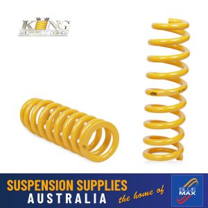 Coil Springs - Rear - Heavy Duty - Nissan Pathfinder - R50 1995 to 2004 - 1 Pair